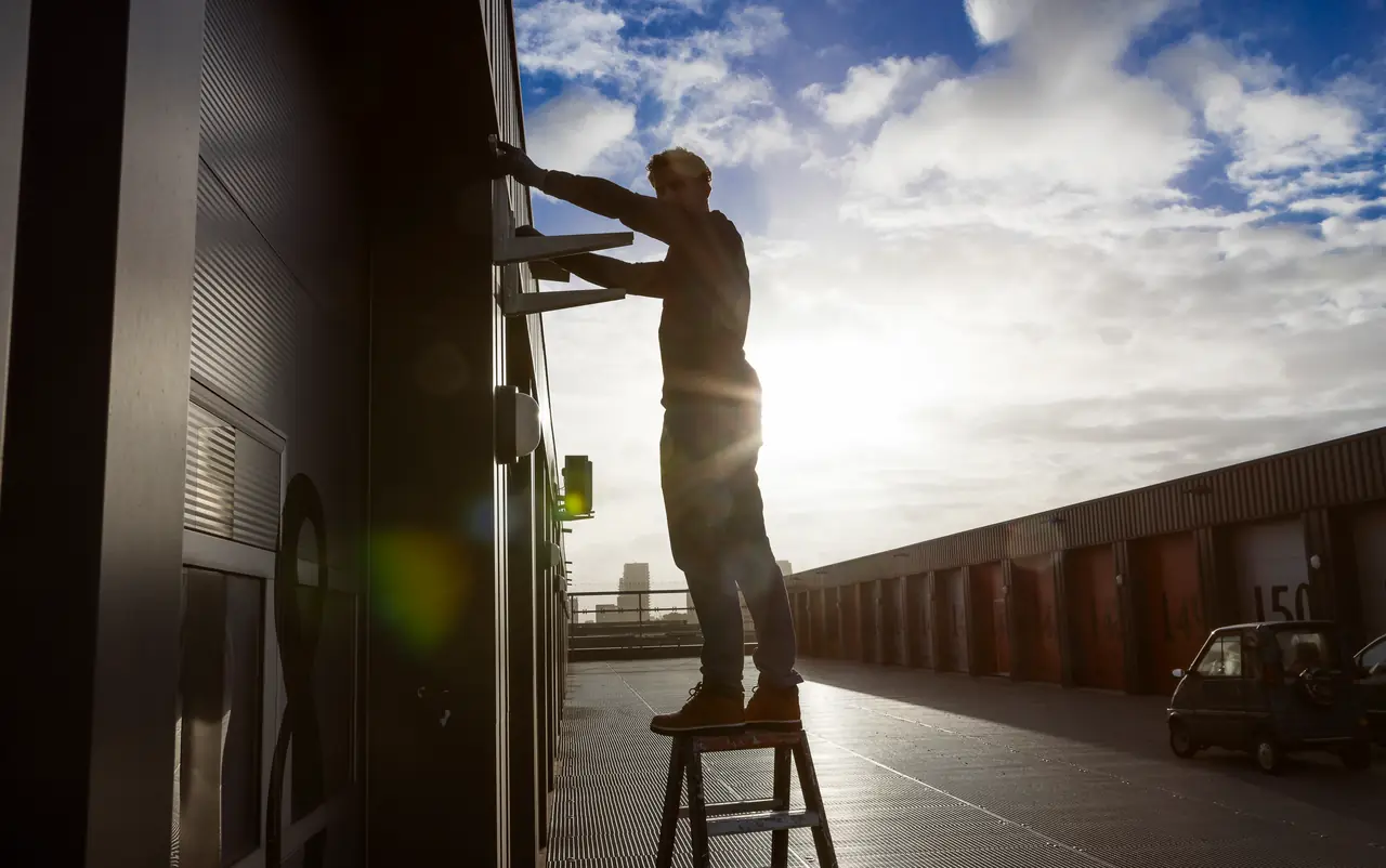 Rein als silhouet op een trapje bij muurbeugels aan een donkere gevel, met de zon erachter.